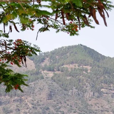 La Canariona, A Charming Chalet *